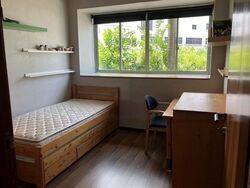 Sunshine Plaza (D7), Apartment #633771401
